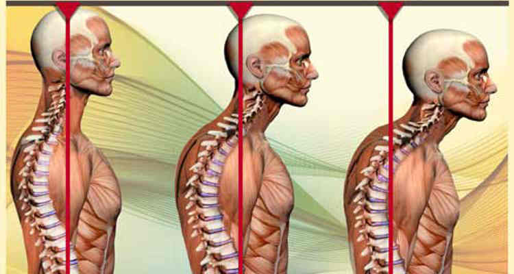 Un cou musclé permet de maintenir une bonne posture